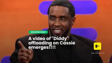 Diddy and cassie video that emerged (1)